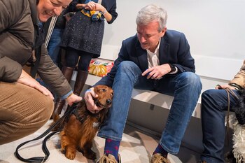 Todo lo que tienes que