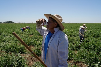 Las condiciones básicas de resguardo para quienes trabajan a cielo abierto siguen bajo disputa en medio de reclamos por normas más claras (REUTERS/Loren Elliott/File Photo)