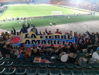 Hinchas de la selección Colombia