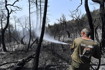 Incendio Argelia