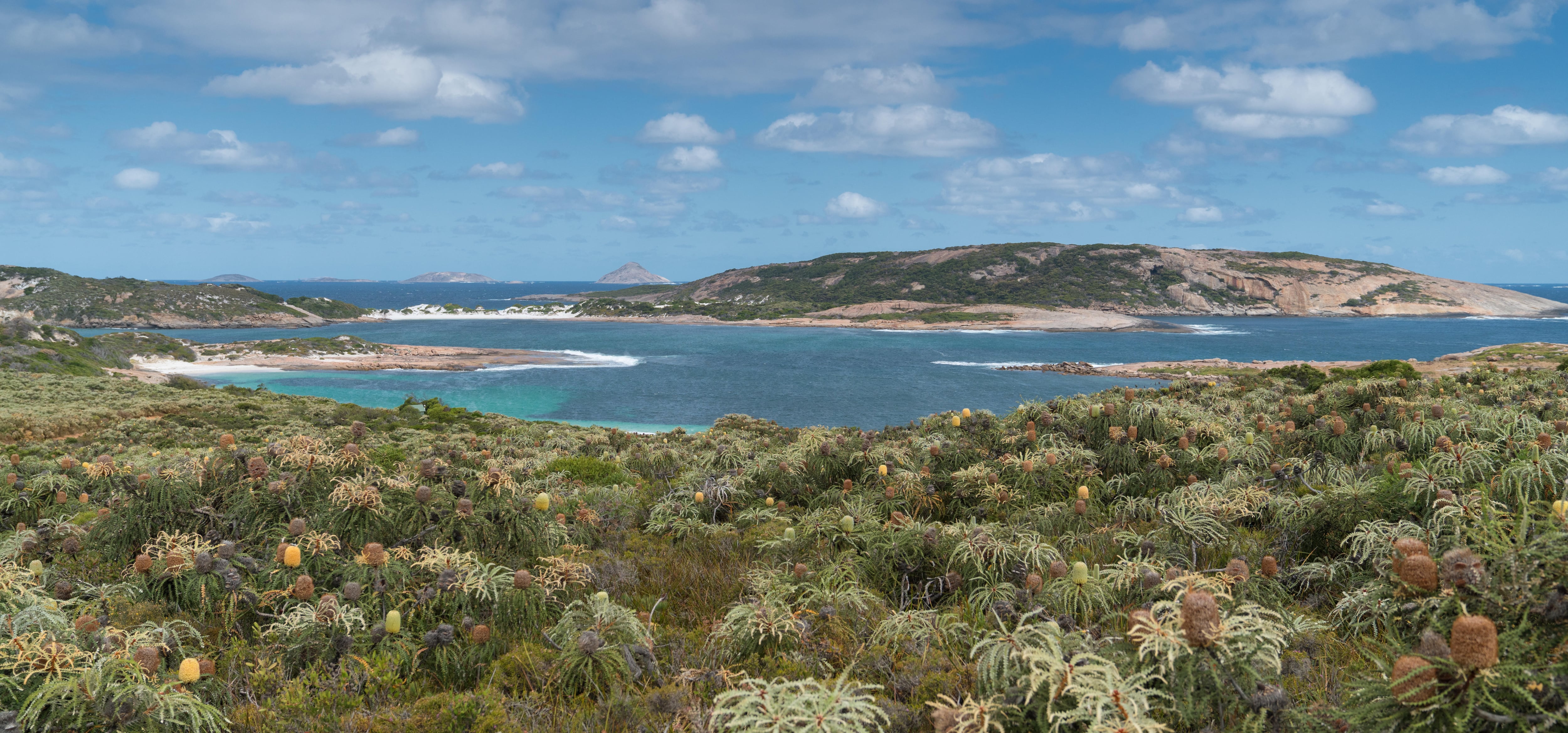 Wharton Beach, Australia Wharton Beach, cerca de Esperance, en Australia Occidental, combina arena blanca, aguas turquesa y mar abierto (Grosby)