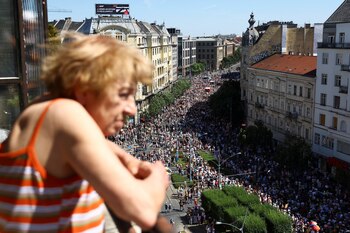 Una persona observa a la