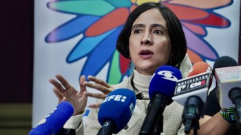 El Ministerio de Ambiente dará