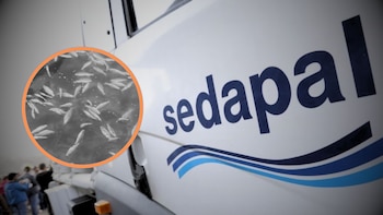 Sedapal descarta afectación en agua