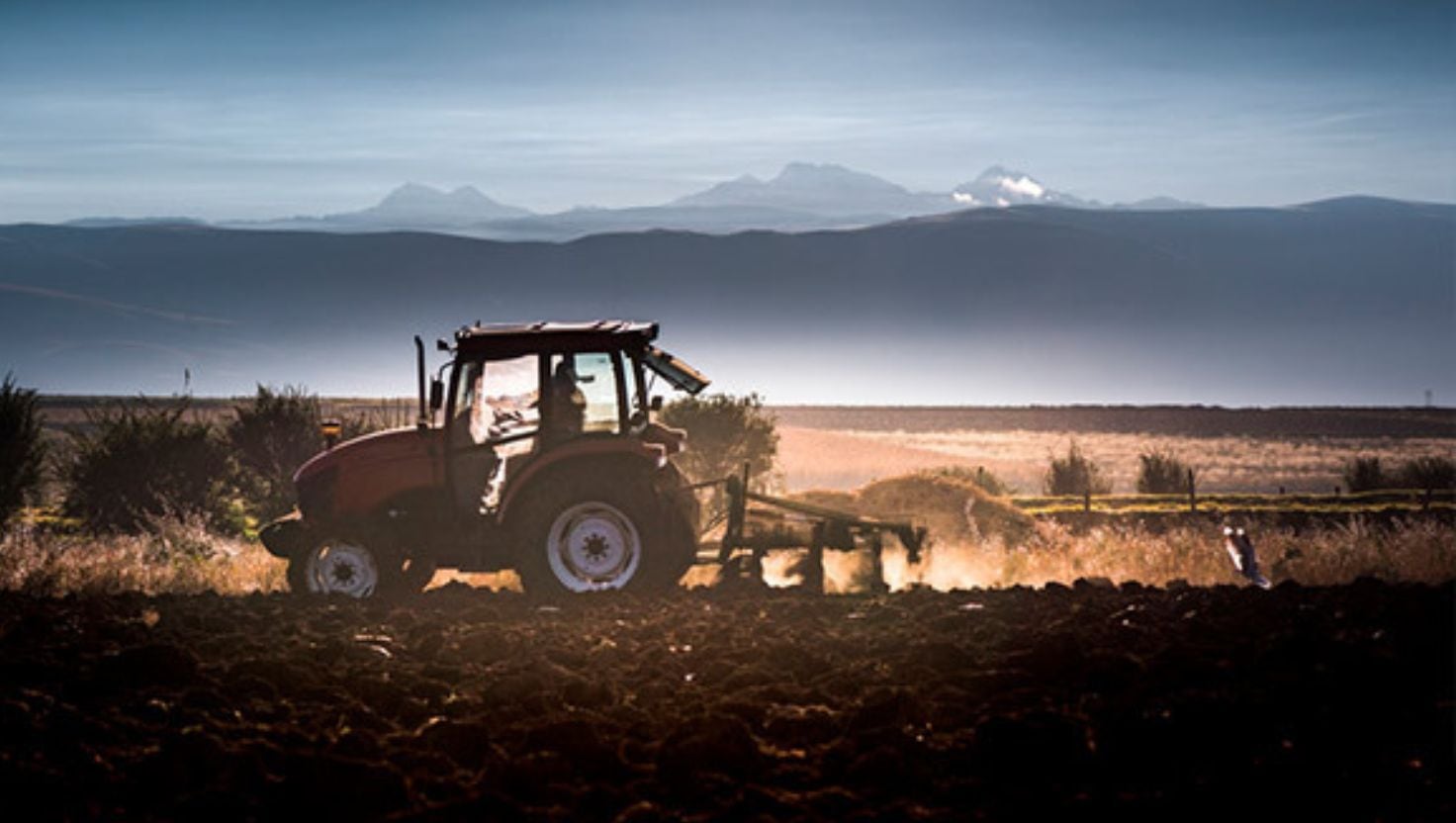 Hacia la nueva cosecha, los márgenes proyectados son de USD 20 a USD 30 por tonelada, pero los cereales todavía muestran rojos de entre USD 5 y 10 dólares