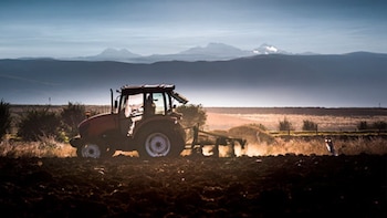 Ley Nº 31339: Gobierno anuncia