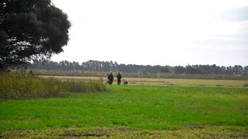 Tras varios rastrillajes, el sospechoso