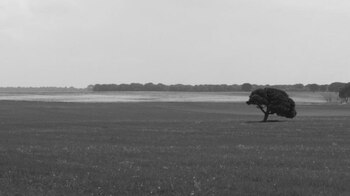 Estar en el llano es