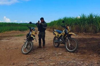 La búsqueda de Angelina incluyó