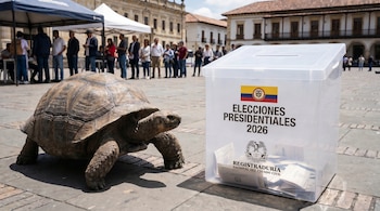 Tortuga grande junto a urna electoral transparente con bandera de Colombia y texto 'ELECCIONES PRESIDENCIALES 2026'. Personas y edificios antiguos al fondo.