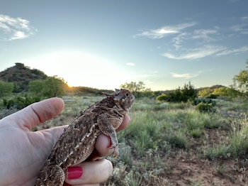 El uso de tecnología avanzada