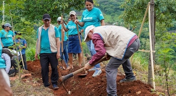 Con el objetivo de beneficiar