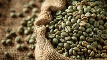 Café verde, grano sin tostar, bebida antioxidante, infusión natural, energía vegetal. - (Imagen Ilustrativa Infobae)