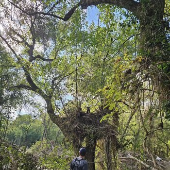 Athena se separó de su