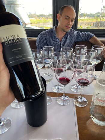 Mora Negra, de buen cuerpo