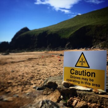 A partir de los trabajos