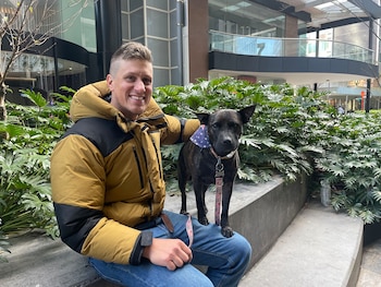 El trabajo colaborativo entre Paul