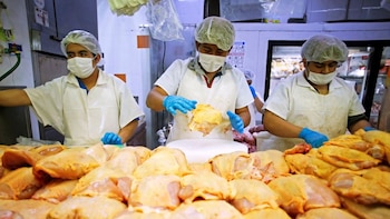 México suspende importaciones avícolas de Brasil por brote viral: estos productos quedan restringidos