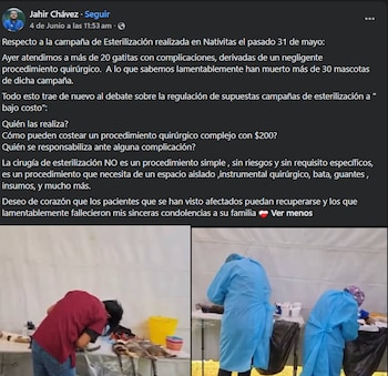 Dos fotografías muestran a personal médico operando animales en mesas dentro de una carpa provisional; se observa instrumental y baldes