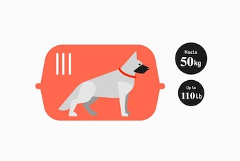 Tenga presente los requisitos para