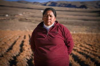 Olga, mujer kolla líder de la comunidad de Colanzulí (Matias Arbotto)