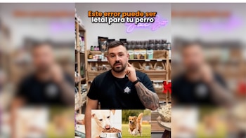 “Dar de comer a tu