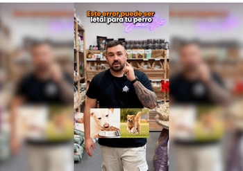 La tienda Pawty Mascotas en