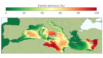 Estrés térmico proyectado para finales de siglo. Bajo un escenario climático moderado (RCP4.5), el estrés térmico acumulado aumenta y se extiende hacia regiones del Mediterráneo que actualmente presentan valores más bajos (Alex Giménez Romero - CC BY)