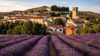 Uno de los campos de lavanda más llamativos de España: está en Guadalajara, es el más grande del país y el mejor mes para visitarlo es julio