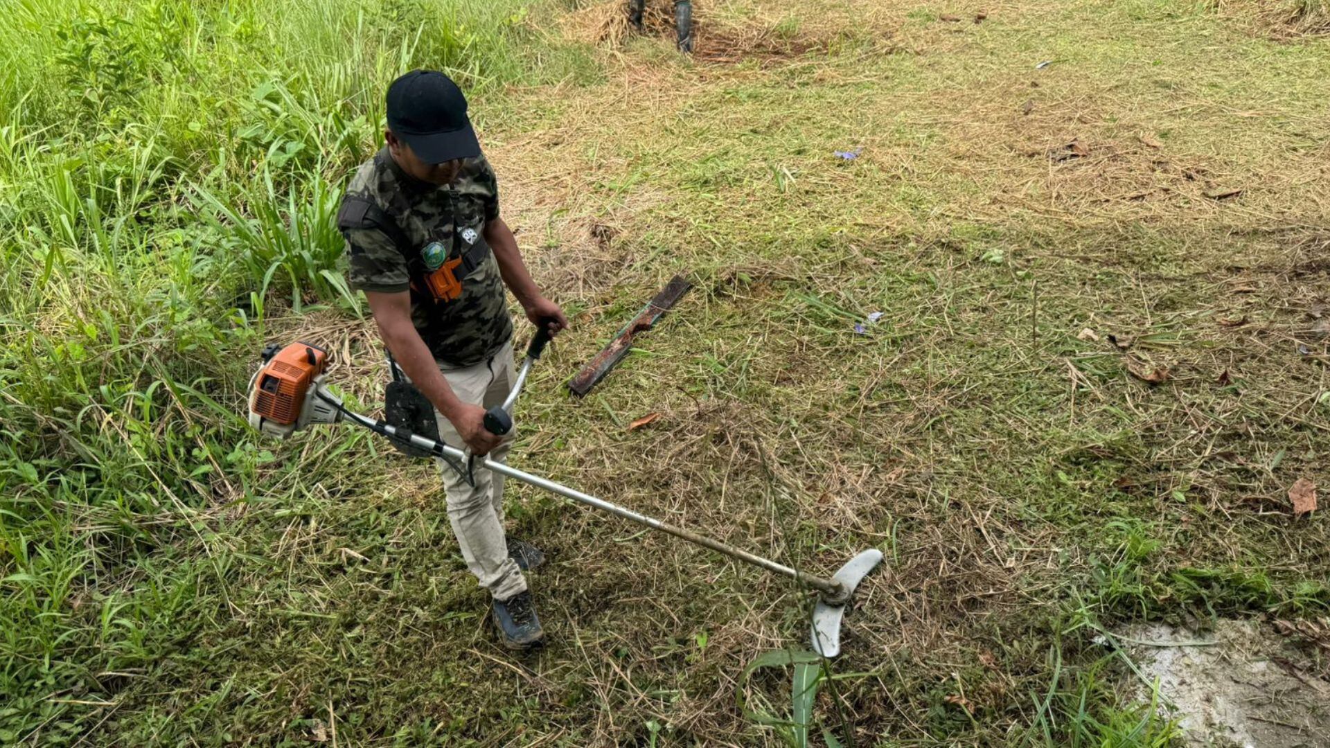 Organizaciones indígenas denuncian el avance del narcotráfico y la tala ilegal en el distrito de Yurúa, Ucayali.
