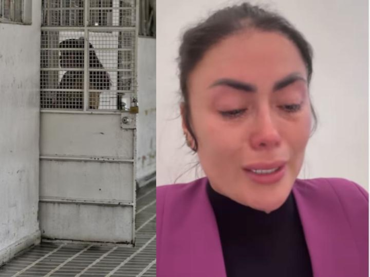 Epa Colombia ya está en la cárcel de mujeres El Buen Pastor: esto es lo que se sabe - Infobae