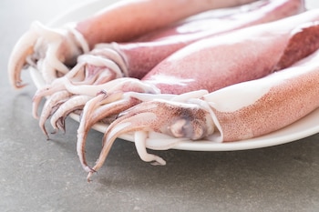 Un plato de calamares frescos (Magnific)