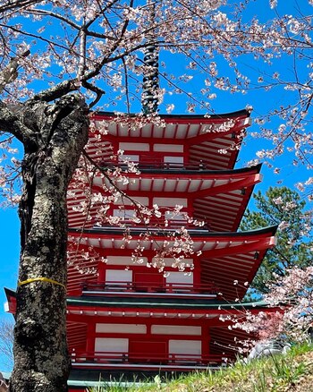 Natalia Oreiro captó la belleza