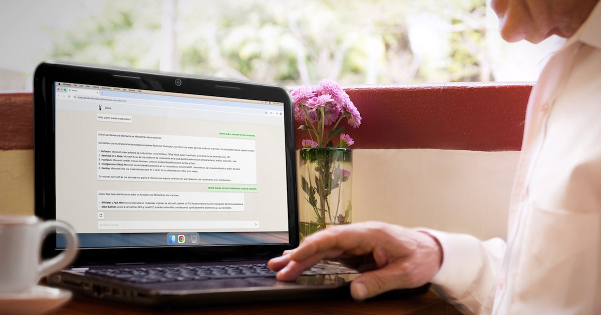 IA sin Internet: Argentino crea herramienta para mayores de 50