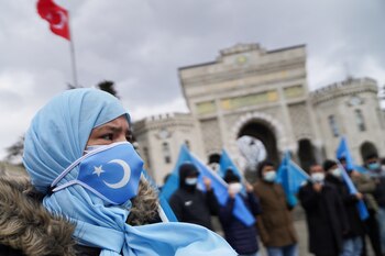 Un manifestante con una máscara