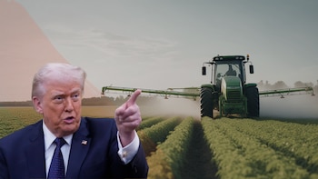 La guerra EEUU-Irán afecta al