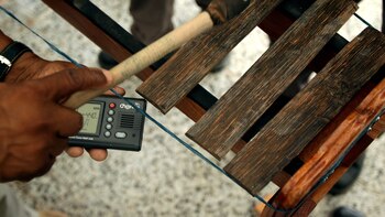 La marimba resuena con ecos