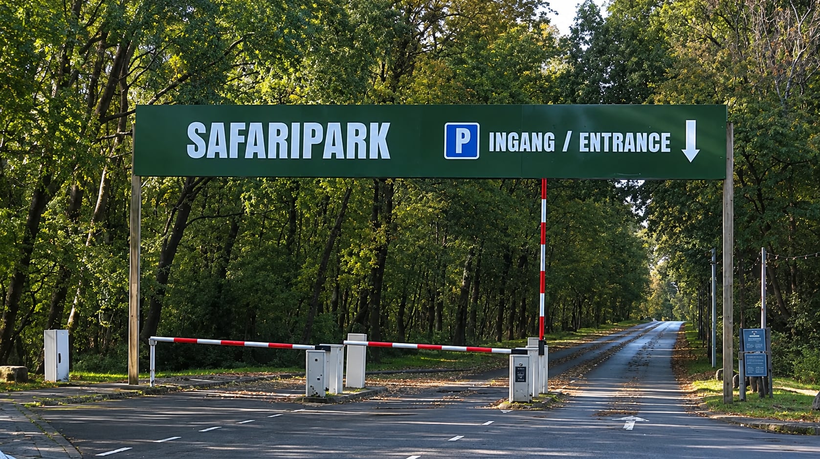 Murió una cuidadora tras el ataque de un leopardo en un safari de Países Bajos