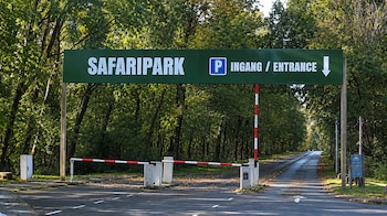 Letrero verde con las palabras Safaripark e Ingang Entrance sobre una vía con barreras de control vehicular entre árboles