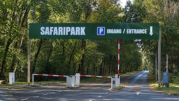 Murió una cuidadora tras el ataque de un leopardo en un safari de Países Bajos