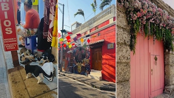 La actriz estadounidense también registro escenas callejeras llenas de color, con cometas y murales, y una puerta adornada con flores, caracteristico de las casas en Cartagena - crédito @katewalsh/Instagram