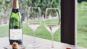 Naltros Brut (Aldi), Vall D'Lluna