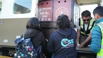 Revelan nuevos detalles de la