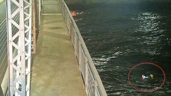 El perro sobrevivió a las