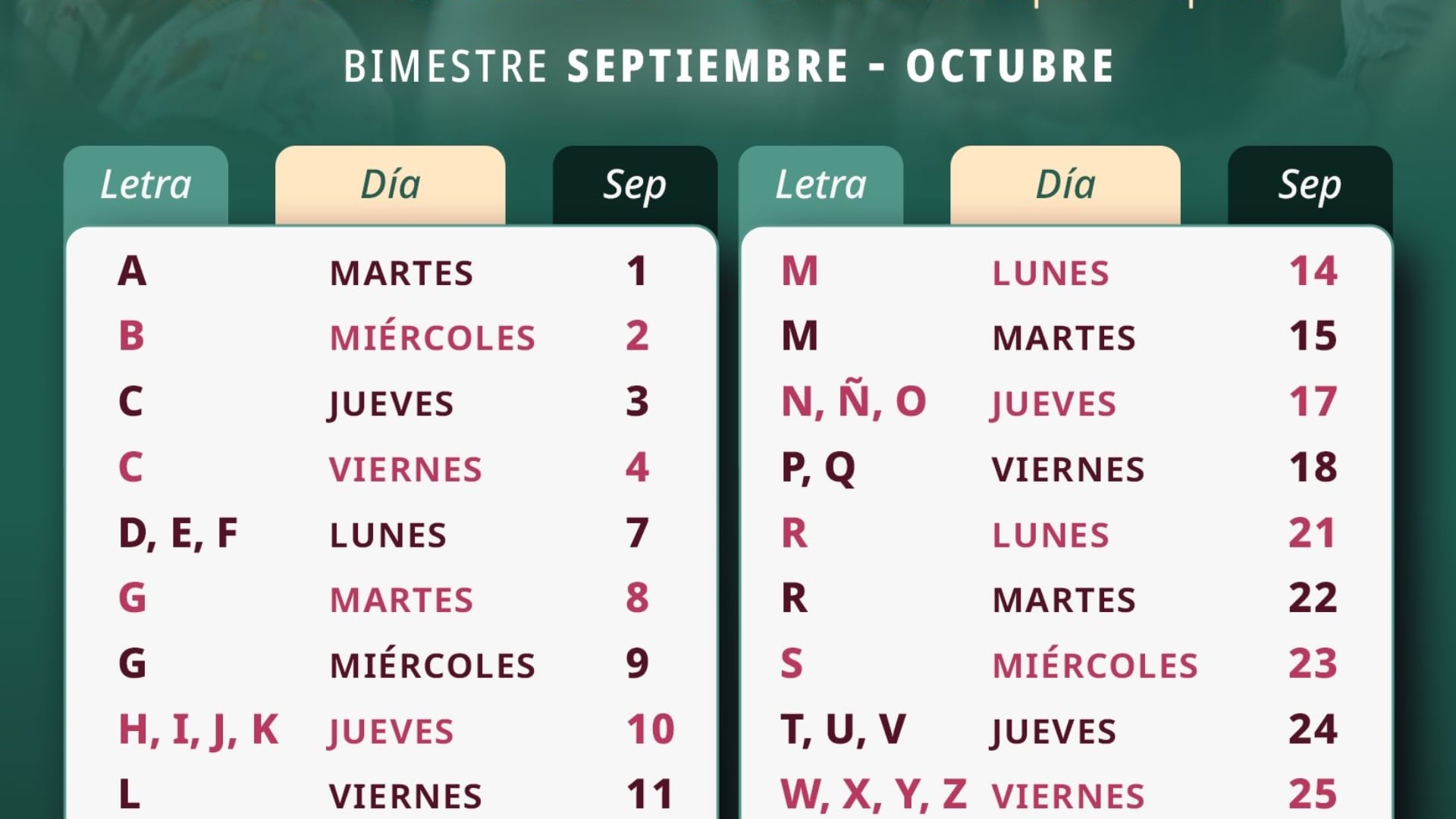 Los pagos de las Pensiones del Bienestar se comenzarán a distribuir a partir del 1 de septiembre-octubre (Gobierno de México)