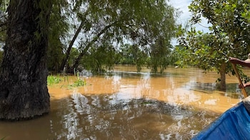 La Conred alertó por el aumento del caudal del río Polochic en Rancho Grande, El Estor, y recomendó no cruzar ríos ante las fuertes lluvias.