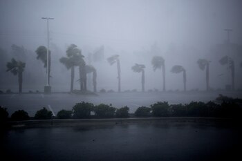 Imagen de los efectos del