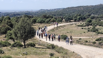 Un grupo de caminantes pasea por el camino de La Isabela