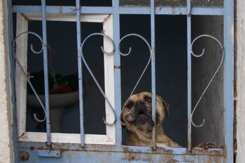 CIUDAD DE MÉXICO, 01SEPTIEMBRE2021.- Elementos