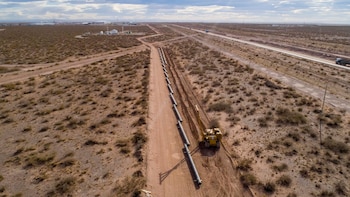 Vaca Muerta: el Gobierno anunció